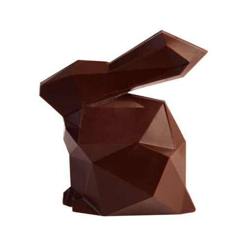 Lapin à facettes noir