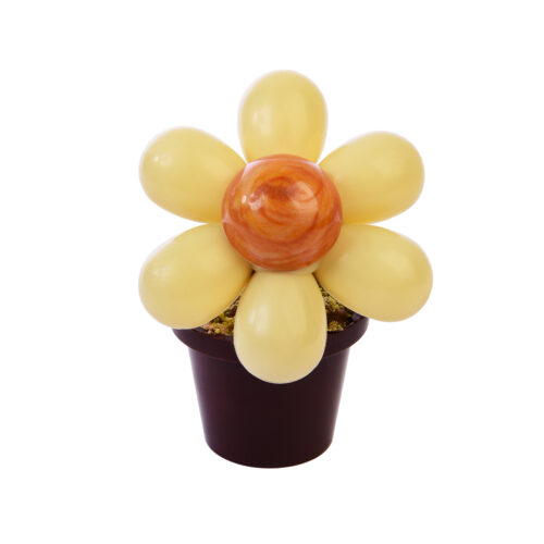 Fleur en chocolat Carré Noir
