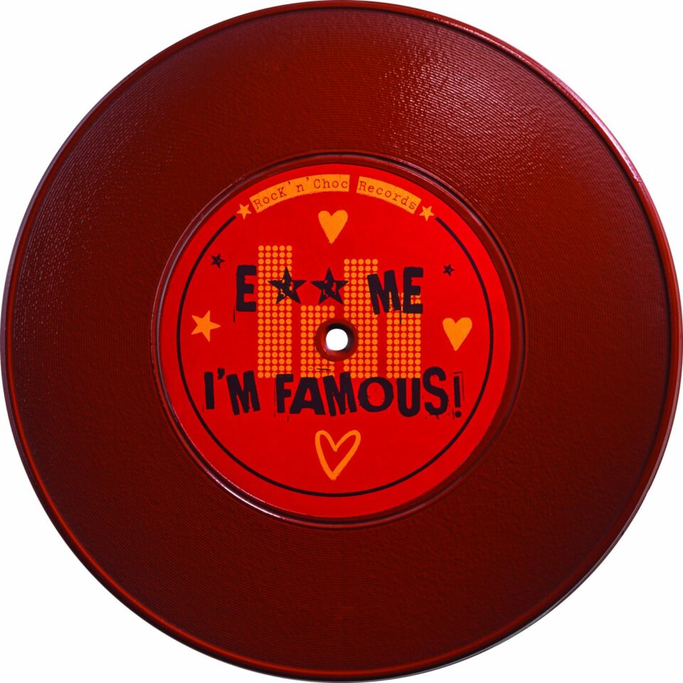 disque-33-tours-vinyle-chocolat-david-guetta