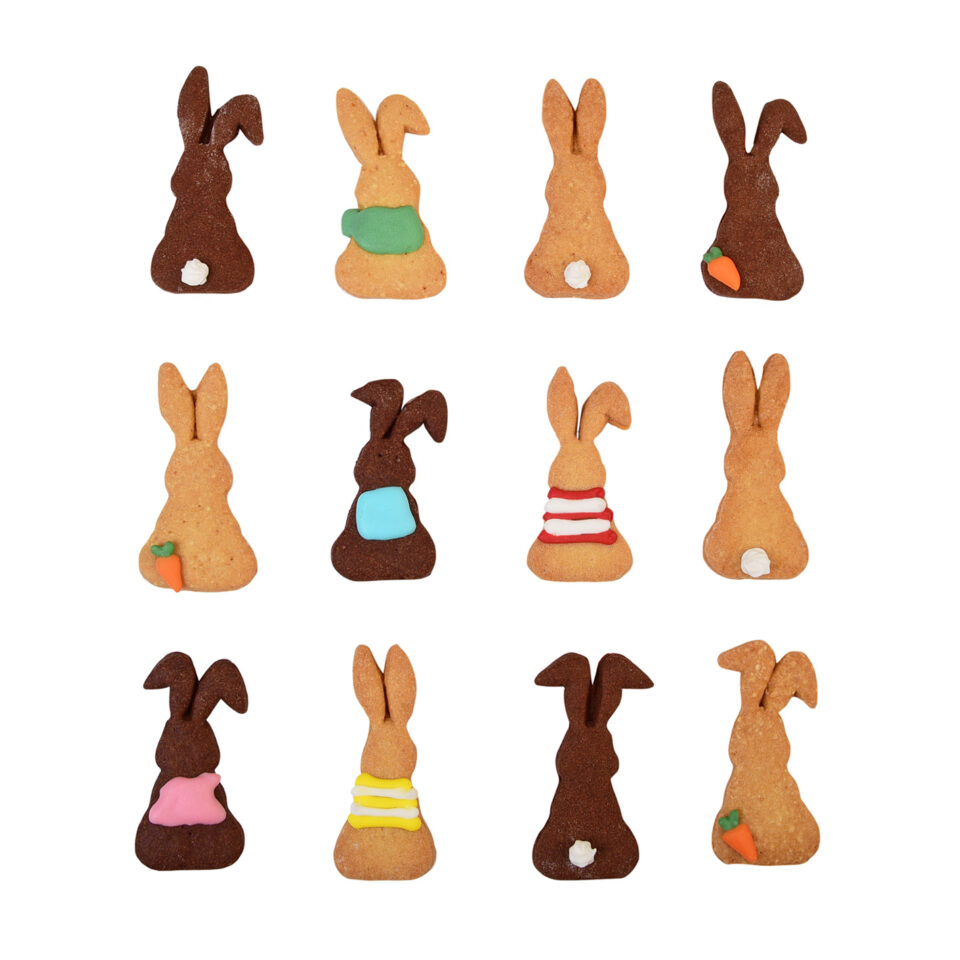 Mais où est bunny ? les biscuits
