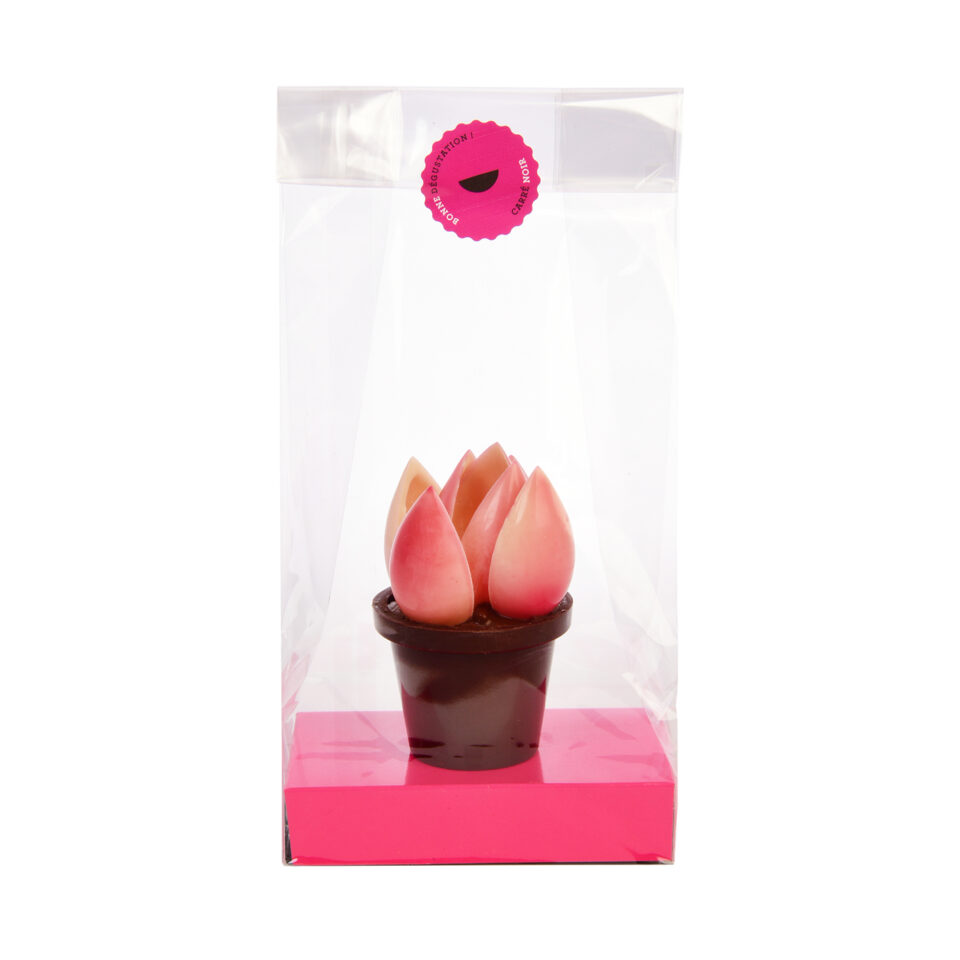 montage fleur chocolat Carré Noir fête des mamans