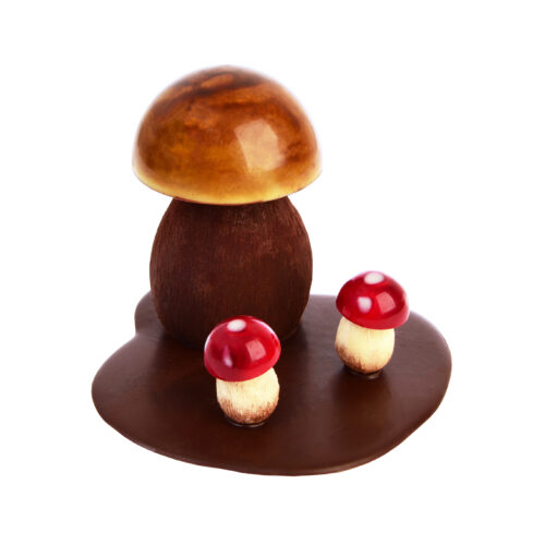 Montage Automne Bolets amanites chocolat carré noir